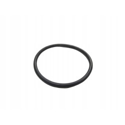 Oring wtryskiwacza paliwa Fiat Cinquecento OE 14458680