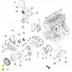 Śruba koła pasowego Chevrolet Lacetti 94501909