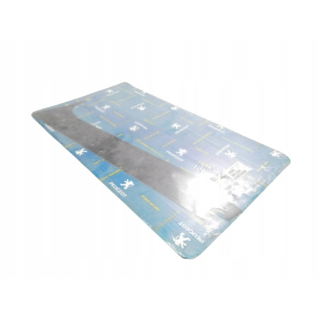 LISTWA DRZWI PRZÓD PRAWY PEUGEOT 206 9327.88