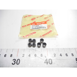 Uszczelniacz, trzonek zaworu Kia OE 22224 38000