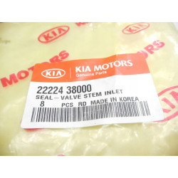 Uszczelniacz, trzonek zaworu Kia OE 22224 38000