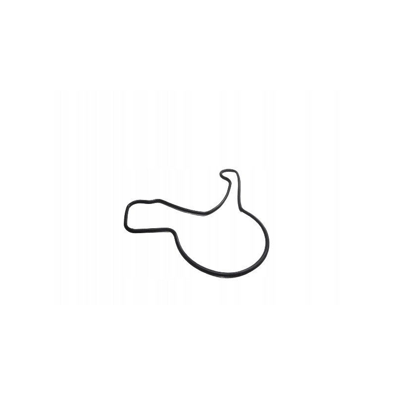 Uszczelka pompy oleju PIAGGIO PORTER 493406