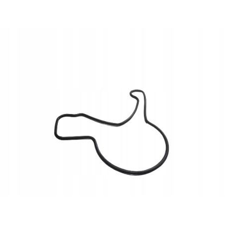 Uszczelka pompy oleju PIAGGIO PORTER 493406