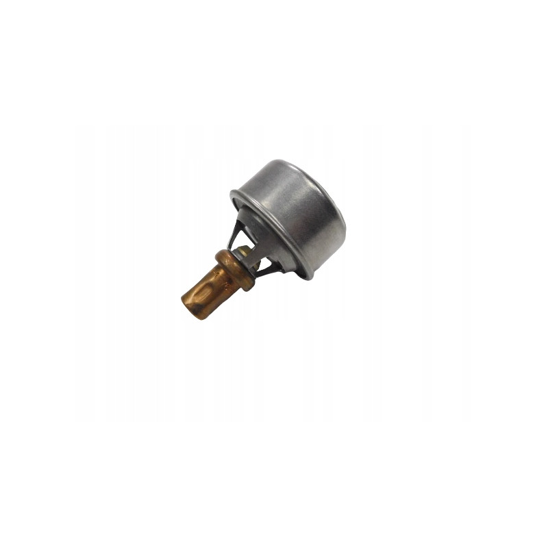 TERMOSTAT 5205 94L31