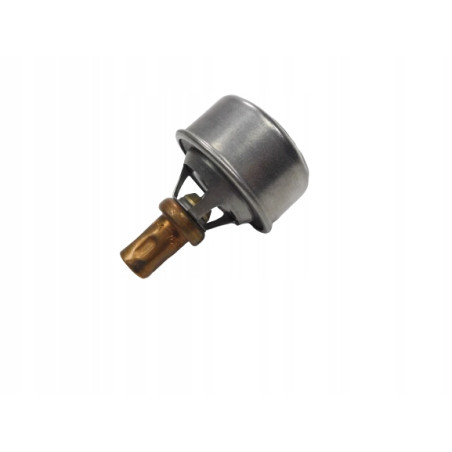 TERMOSTAT 5205 94L31
