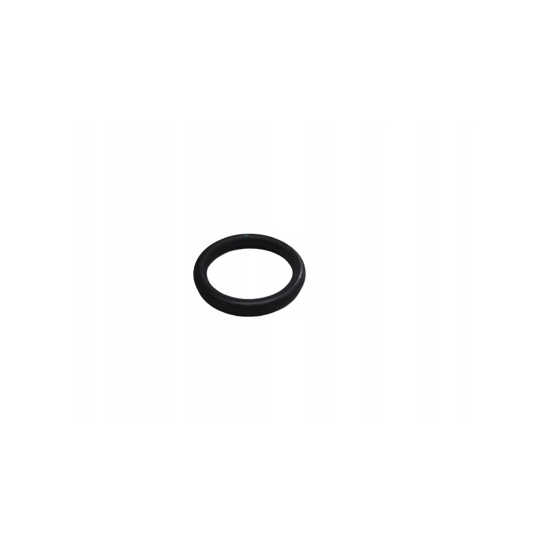 Oring przewodu wody Renault Laguna II 8200206871