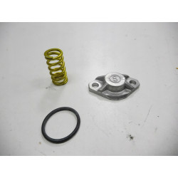 Zestaw do konwersji VW Golf 1.6 84 OE 068198999C