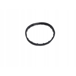 Uszczelka pompy wody Renault Megane III 7701040924