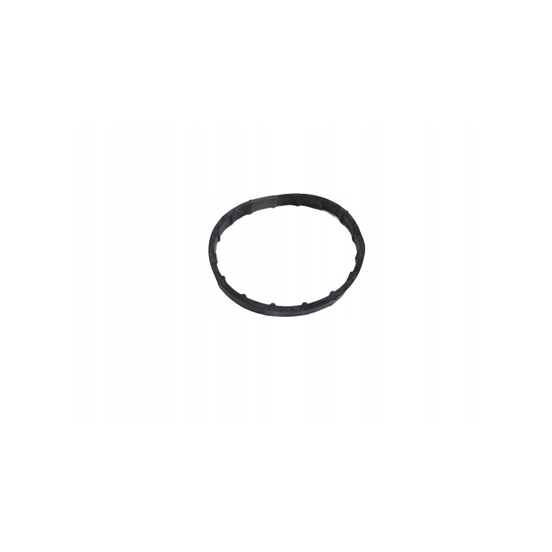 Uszczelka pompy wody Renault Megane III 7701040924