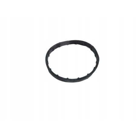 Uszczelka pompy wody Renault Megane III 7701040924
