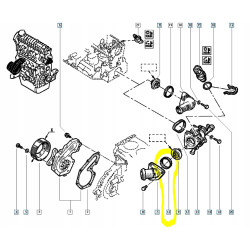 Uszczelka pompy wody Renault Megane III 7701040924