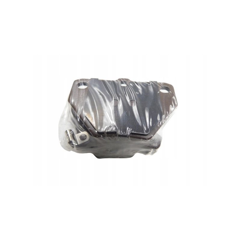 Klocki hamulcowe tylne ASHUKI TOYOTA 04466-YZZD5