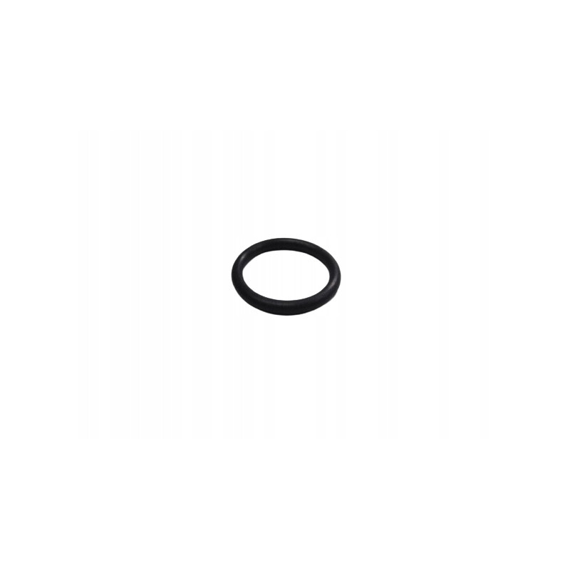 Oring dyferencjału Renault 5 OE 7703065054