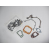 ZESTAW USZCZELEK SILNIKA FIAT UNO 89-95 5892439