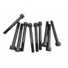 Śruby mocujące głowicę cylindrów VW 056103385A X10