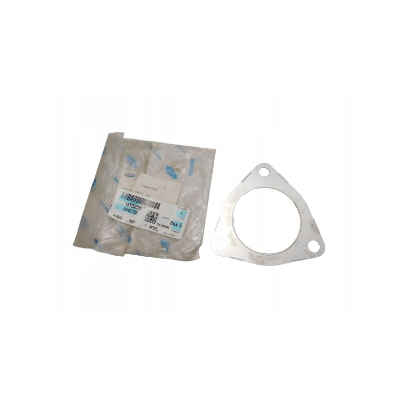 Uszczelka rury wydechowej FORD IVECO 6646725