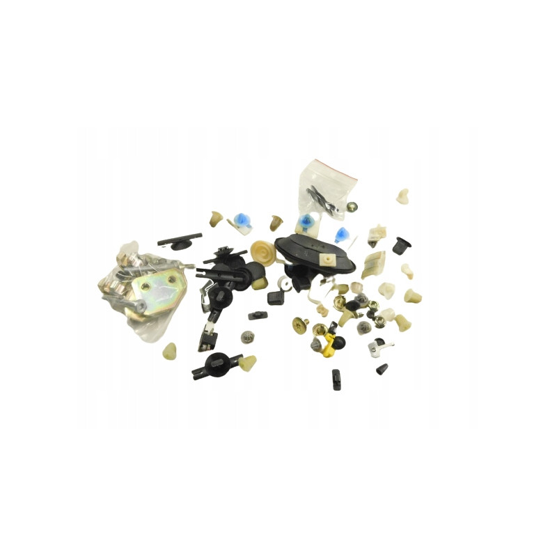 Zestaw śrub, zacisk, zaślepka Renault 7711171817