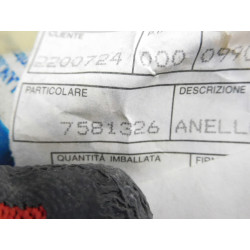 Pierścień regulacyjny CQN PANDA LANCIA Y10 7581326