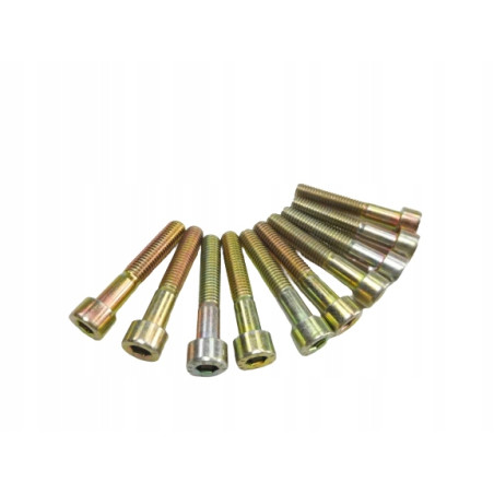 Śruba mocująca zacisk hamulcowy VW N0147153 X1