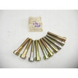 Śruba mocująca zacisk hamulcowy VW N0147153 X1