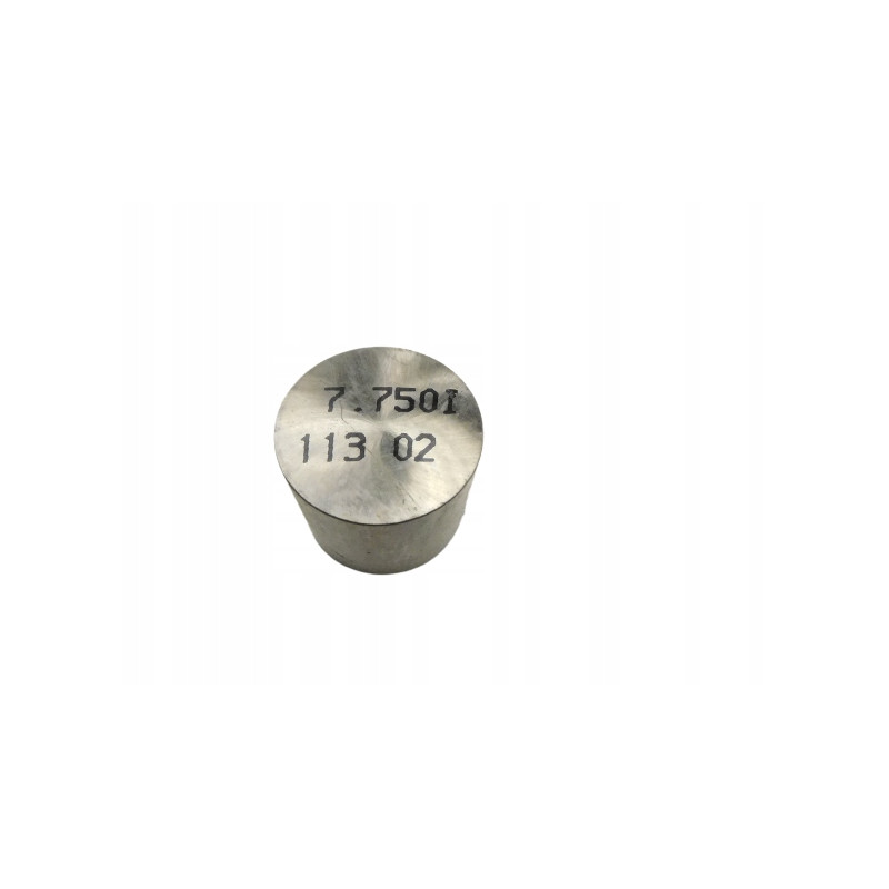 POPYCHACZ ZAWORU CARISMA 02-03 M883970