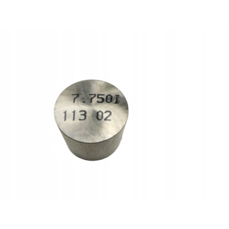 POPYCHACZ ZAWORU CARISMA 02-03 M883970