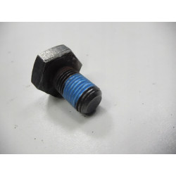 ŚRUBA KOŁA ZAMACHOWEGO FIAT CROM 05-10 OE 55203316