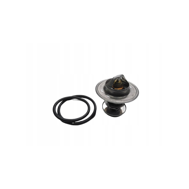 TERMOSTAT WAHLER AUDI A4 AVANT (8ED, B7) QTH313K
