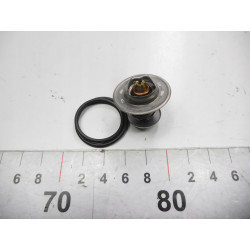 TERMOSTAT WAHLER AUDI A4 AVANT (8ED, B7) QTH313K
