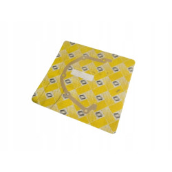 USZCZELKA BLOKU SILNIKA RENAULT ALPINE 7910245368