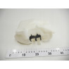 Zbiornik spryskiwacza Renault Clio II 7700847816
