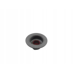 USZCZELNIACZ ZAWORU CITROEN XANTIA 98-05 0956.34