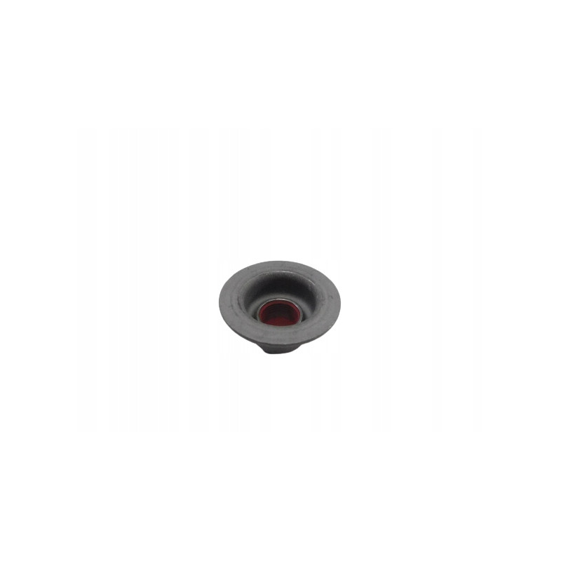 USZCZELNIACZ ZAWORU CITROEN XANTIA 98-05 0956.34