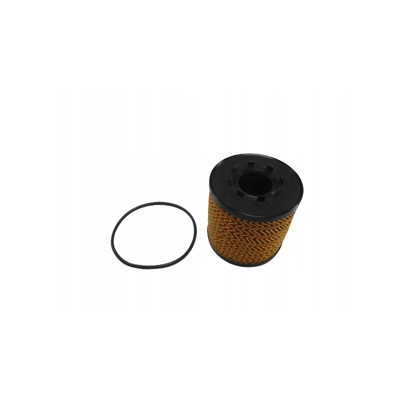 Filtr oleju MOVANO MASTER INTERSTAR 15209-00Q0B