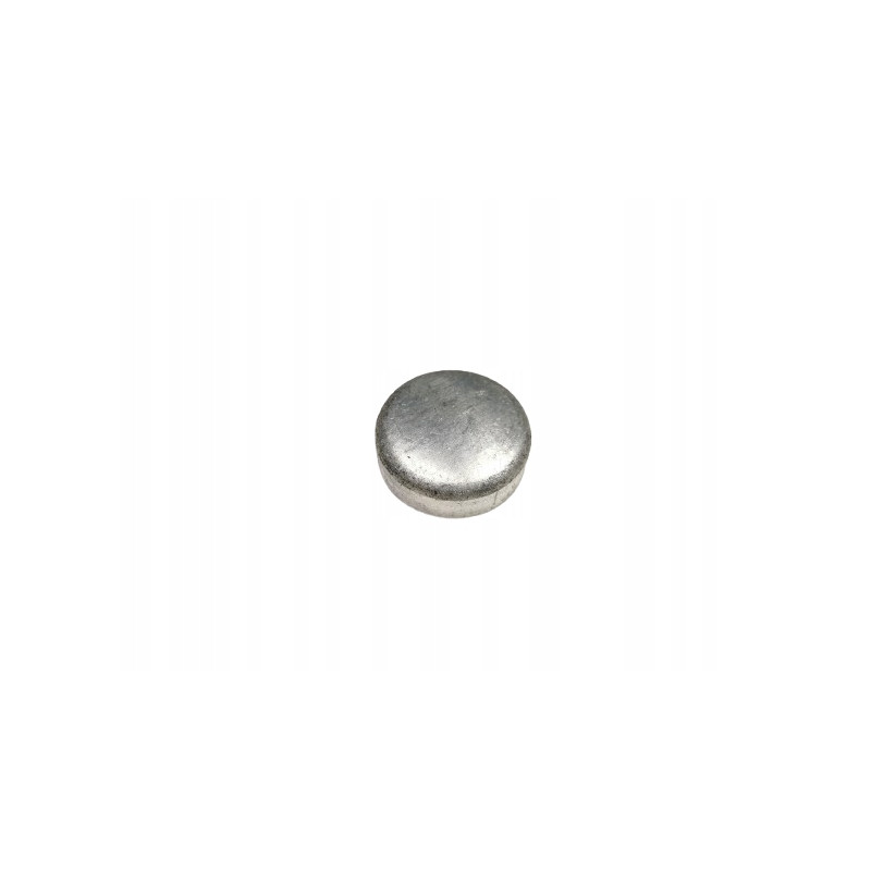 USZCZELNIENIE PRZECIWMROZOWE 34mm GENERAL MOTORS OE 2060665 11056093