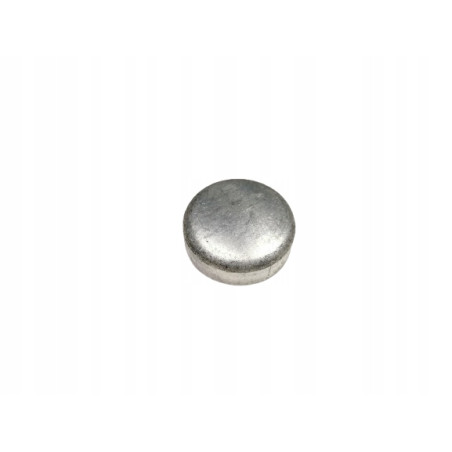 USZCZELNIENIE PRZECIWMROZOWE 34mm GENERAL MOTORS OE 2060665 11056093