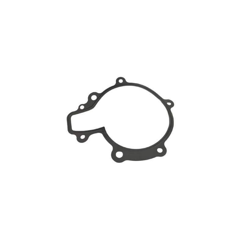 Uszczelka pompy wody Opel Antara OE 4805175 96440231
