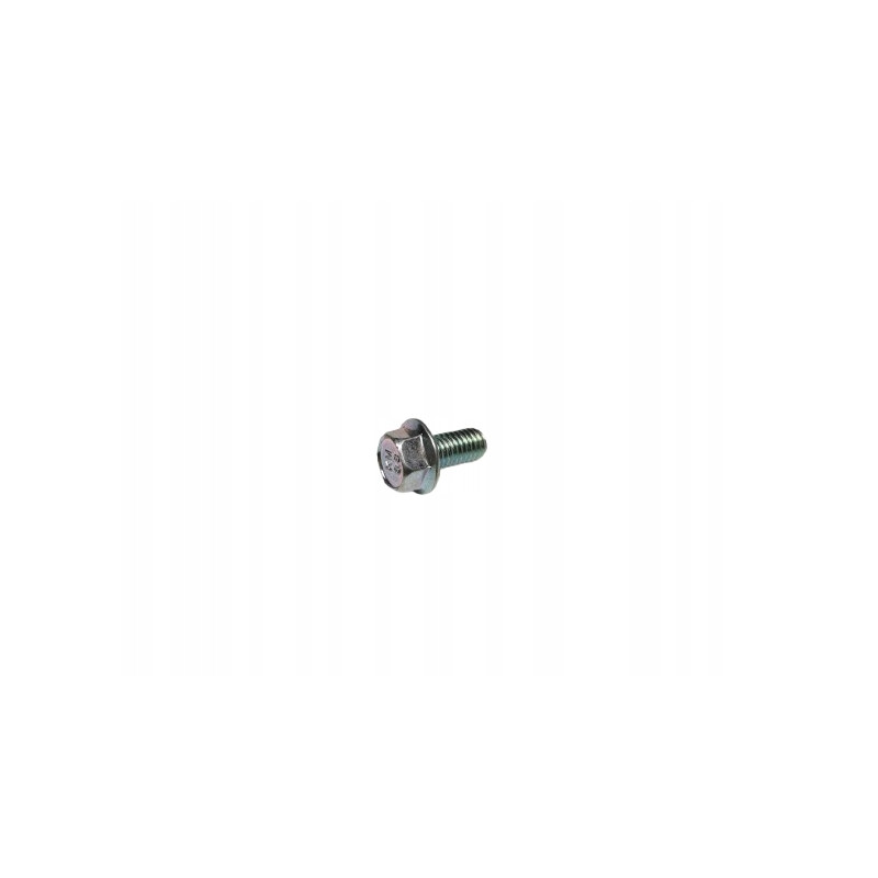ŚRUBA M8x1.25 KRYZA WLOTU WODY OPEL ANTARA OE 94500433