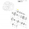 Łożysko wałka skrzyni biegów Opel (Astra K) OE 718154 55575874