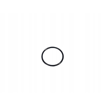 USZCZELKA POMPY PODCIŚNIENIA/ ALTERNATOR OPEL CAMPO CORSA B OE 94156608