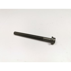 ŚRUBA M12 X 137 GŁOWICY CYLINDRÓW 1.8 DURATORQ W703983-S430 1079925