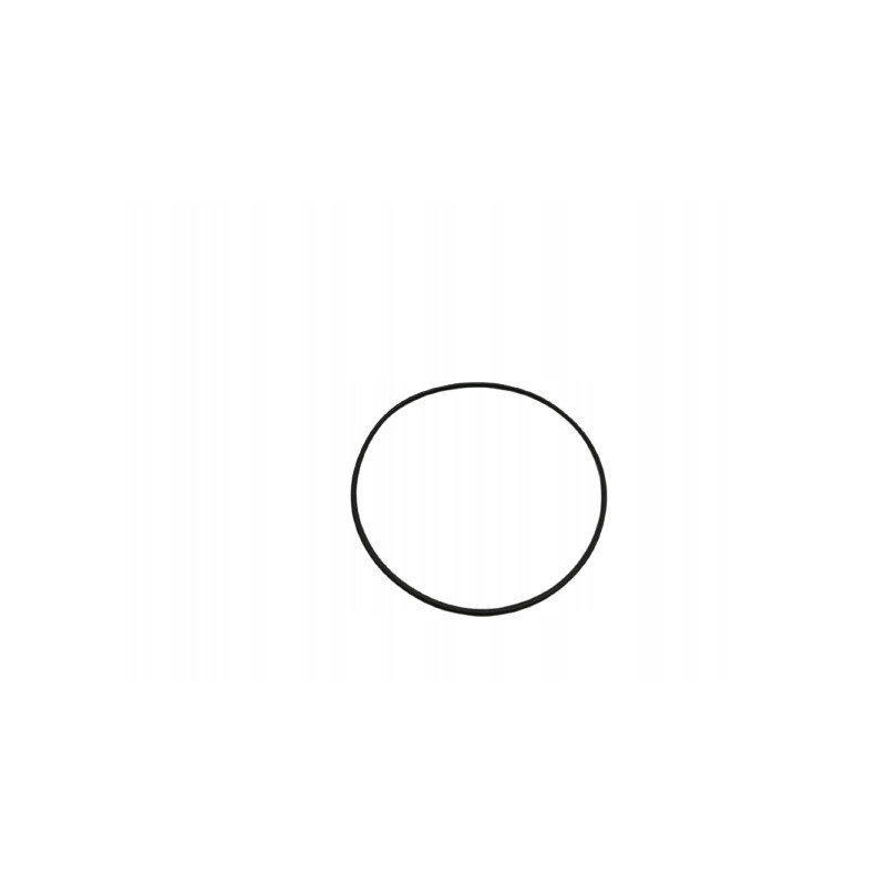 USZCZELKA, O-RING ORING