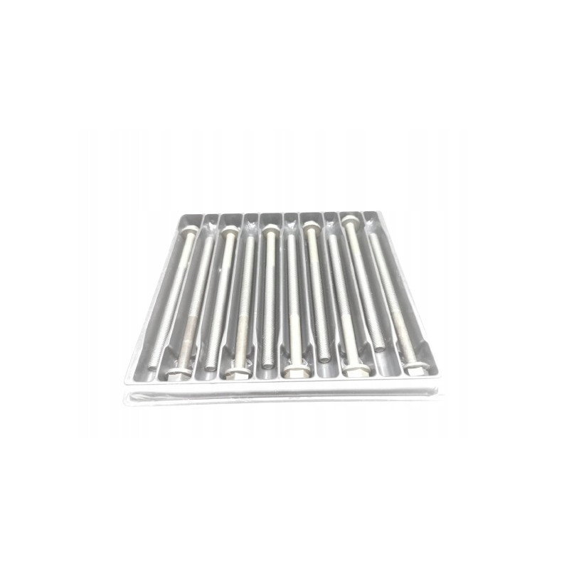 Zestaw śrub głowicy cylindrów Payen 1102675 HBS296