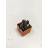 Przekaźnik 12V 40A Opel OE 22210034 6238501 90459640
