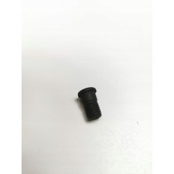 Śruba, tarcza hamulcowa Delphi BGK009