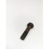 ŚRUBA,Z ŁBEM SZEŚCIOKĄTNYM,M12 X 47,KOŁO PASOWE WAŁKA CORSA-C 94433407