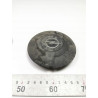 Osłona piasty koła OPEL CORSA-B + TIGRA-A OE 1006864 90538082