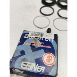 Zestaw naprawczy, zacisk hamulca AUTOFREN SEINSA D4104