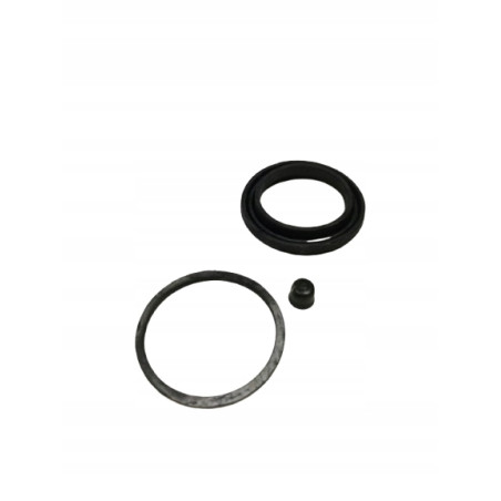 Zestaw naprawczy, zacisk hamulca AUTOFREN SEINSA D4003