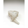 Zbiornik płynu do spryskiwaczy Opel Vectra B OE 1450587 90541048